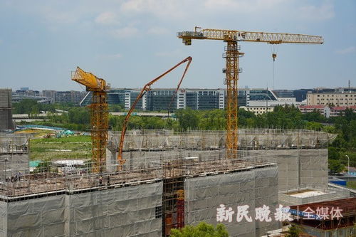 申城規模最大的保障性租賃住宅項目加緊施工