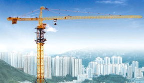 重慶市萬州區(qū)騰迅建筑設(shè)備租賃 專業(yè)塔吊租賃服務(wù)，助力萬州城市建設(shè)